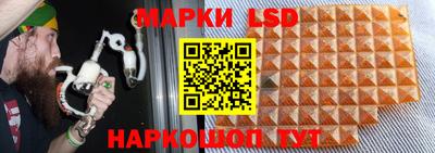 mdpv Заволжье