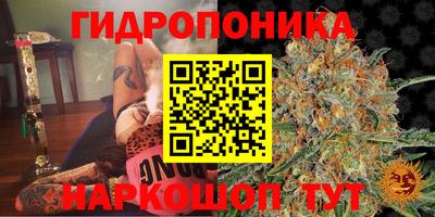 mdpv Заволжье