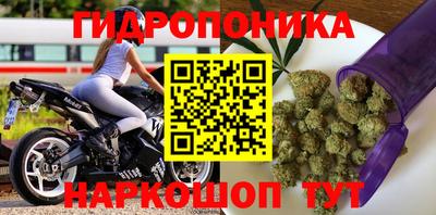 эйфоретик Жуковский