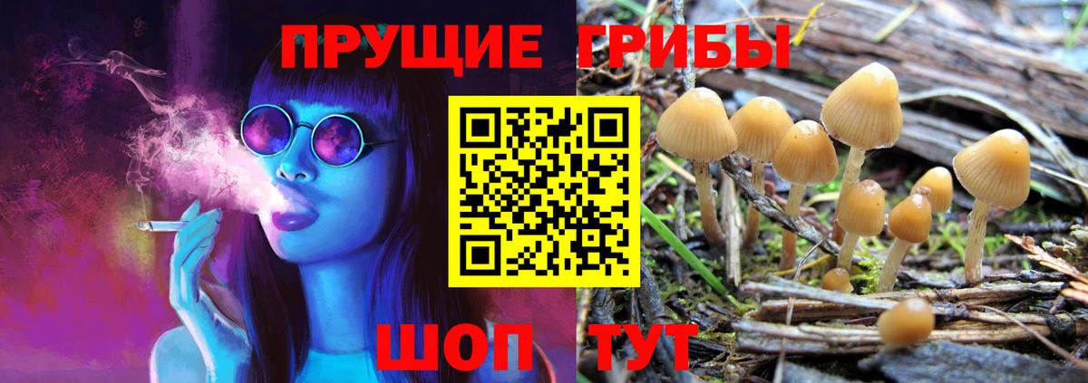 Киселёвск  Псилоцибиновые грибы ЛСД  Вход с VPN 